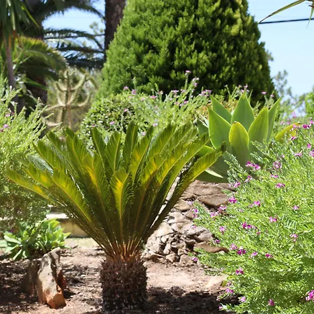 호텔 피냘 도 솔 쿼테이라