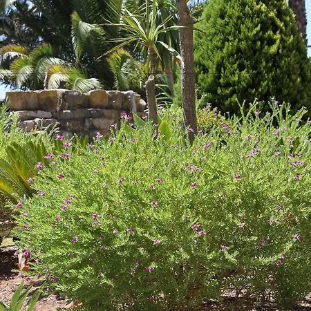 Szálloda Pinhal Do Sol 3*