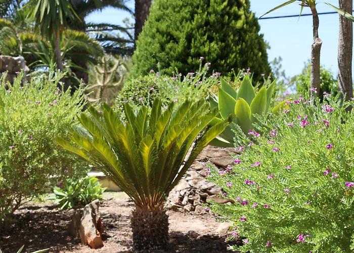 Szálloda Pinhal Do Sol Quarteira