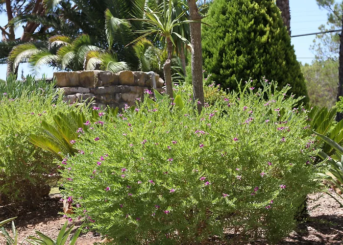 Szálloda Pinhal Do Sol 3*